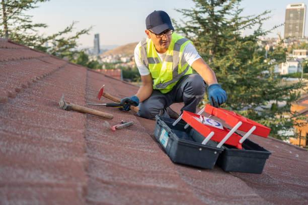 Best Storm Damage Siding Repair  in South Valley, NM